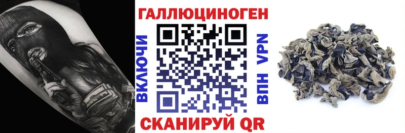mega ссылки  Щучье  Галлюциногенные грибы GOLDEN TEACHER  где продают  